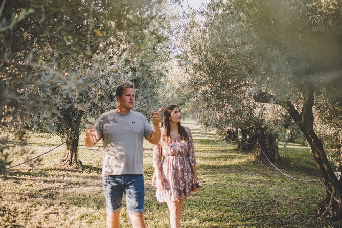 Buje: Authentic Istrian family farm, guided walk, foods & wine - A family olive farm near Buje: what you’re really signing up for