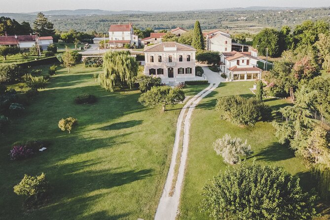 Buje: Authentic Istrian family farm, guided walk, foods & wine - From Roman-style harvesting to modern extra virgin olive oil