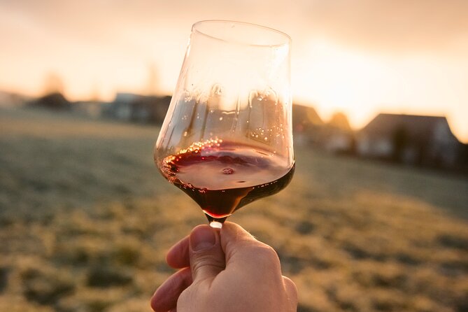 Castle & Wine Tasting - Private Day Trip from Zagreb - Vuglec Breg Winery: The Cellar Visit and the 5-Wine Tasting That Sets the Tone