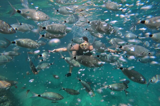 Cave exploring by kayak - Sea kayak + cave swim: what makes this outing special