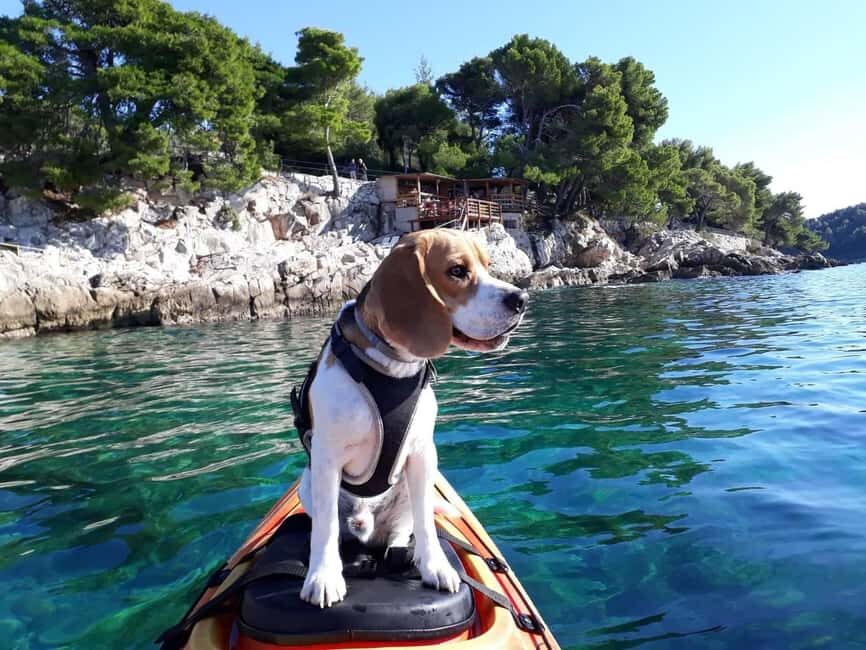 Cavtat: 'Pomalo' Sunset Guided Sea Kayaking Tour - Pomalo Sunset Kayaking: What That Relaxed Tone Means on the Water