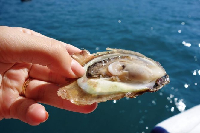 Classic Tour with Wine Tastings from Dubrovnik - Pelješac Peninsula: why this beats a simple wine stop