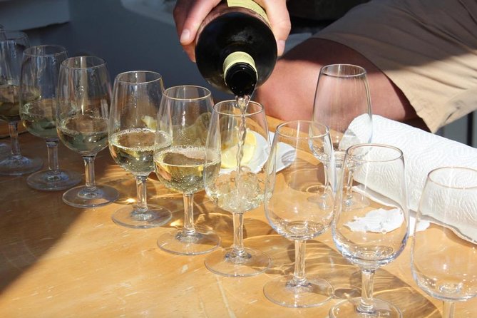 Classic Tour with Wine Tastings from Dubrovnik - Group size, van comfort, and why the day stays friendly