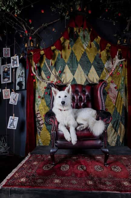 Croatia: Museum of Lost Tales - Zdenko Bašić and the art of turning oral tales into rooms