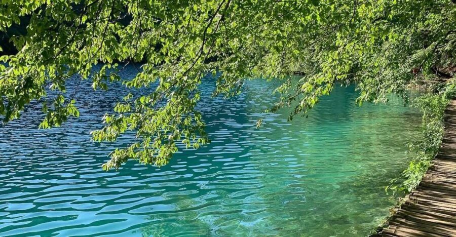 Croatia: Plitvice Lakes Private Tour with Hotel Pickup - Entering the park: how the guide sets you up for success
