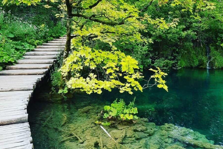 Croatia: Plitvice Lakes Private Tour with Hotel Pickup - The break at the boat station: eat, reset, then go higher