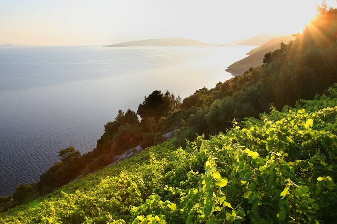 Culinary Experince from Dubrovnik PRIVATE 5course LUNCH included - Who this Dubrovnik food-and-history day fits best