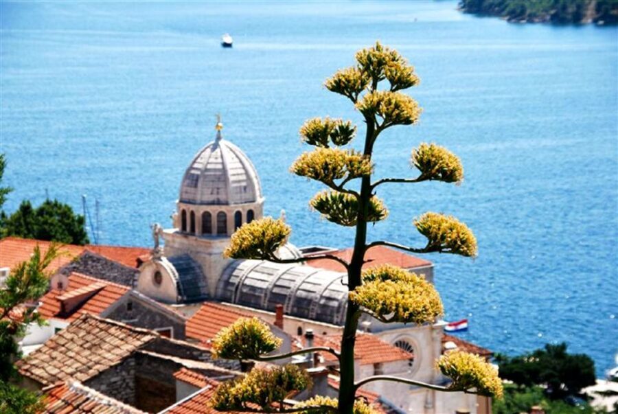 Dalmatian Delights: Food & Wine Tour from Split or Trogir - Wine tasting for everyone: rules for under-18 guests