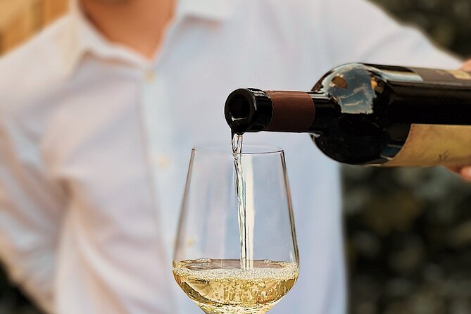Dalmatian wine tasting by Bottiglia wine & deli - The Guide Moment: Christina’s Role and the Q&A Style