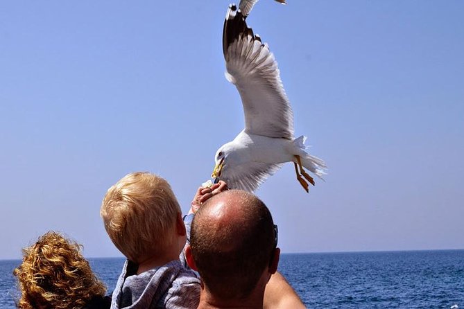 Day Cruise in the Elafiti Islands from Dubrovnik - When weather turns: rough seas, fewer stops, and how to stay flexible