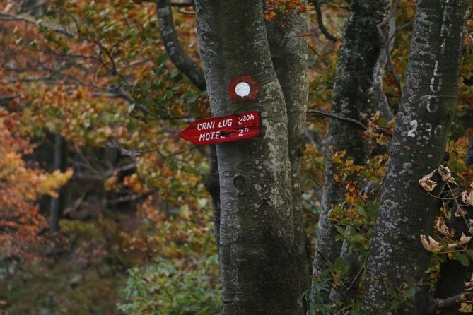 Day Hike in National Park Risnjak from Zagreb - 6:00 am Zagreb pickup: your day’s real starting line