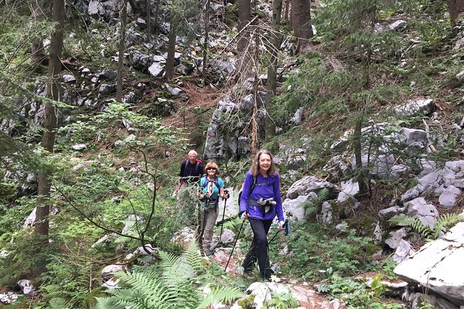 Day Hike in National Park Risnjak from Zagreb - Schlosser hut hike (8:00–11:00): the main event