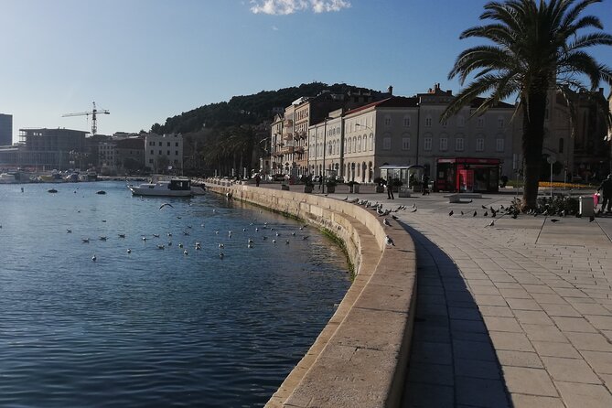 Diocletian's Palace Small Group Tour in Split - Peristyle Square and Its Acoustics in Real Life