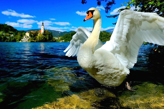 Discover Slovenia: Ljubljana & Bled Lake from Zagreb - Ljubljana Old Town: Dragon Bridge, Central Market, and quick-castle context