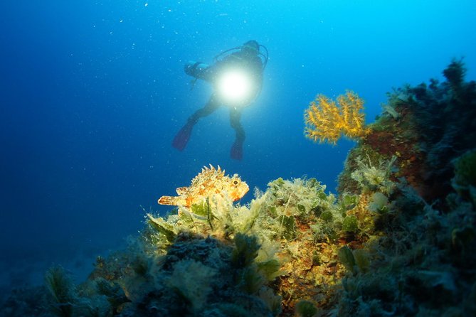 Diving day tour with 2 dives - Key highlights at a glance
