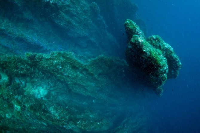 Diving day tour with 2 dives - What the included amenities really mean for value