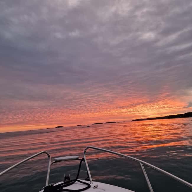 Dolphin private sunset tour Rovinj - What to Bring: The Jacket Note You Should Not Ignore