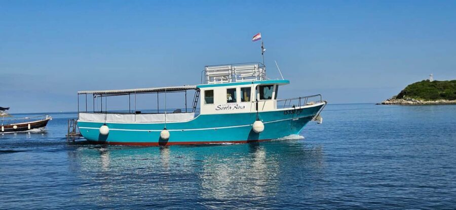 Dolphin Safari Boat Trip from Marina Funtana - 150 minutes of cruising near Vrsar and Funtana (and what you’ll actually do)