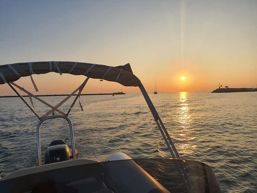 Dolphin safari every morning&evening - Key things to know before you go