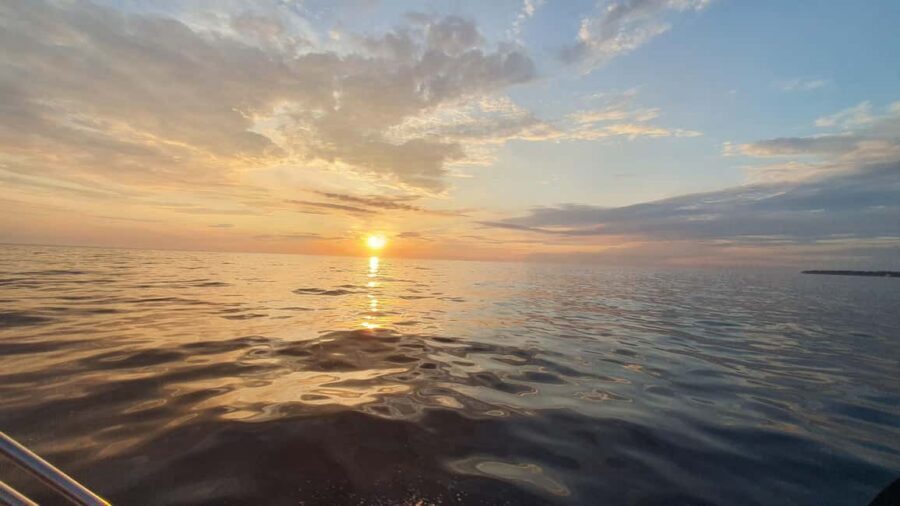 Dolphin safari every morning&evening - Who should book this safari (and who should think twice)