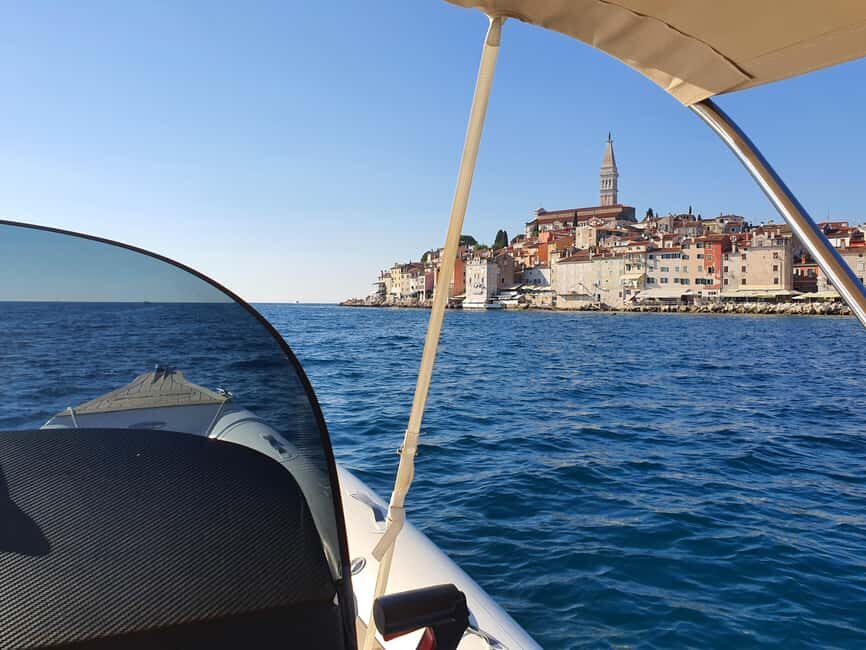 Dolphin safari every morning&evening - Choosing your 90 minutes: morning vs sunset in Istria