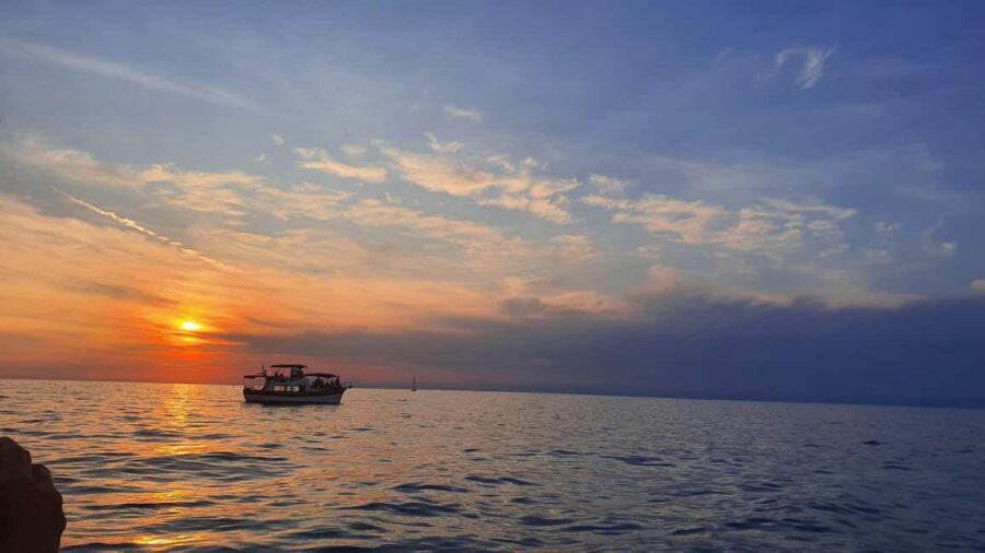 Dolphin safari every morning&evening - Meet Jan, then learn how the skipper finds dolphins