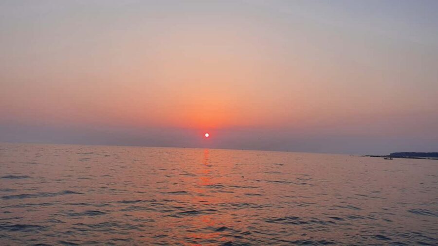 Dolphin safari every morning&evening - Price check: is $41 worth a 90-minute dolphin safari?