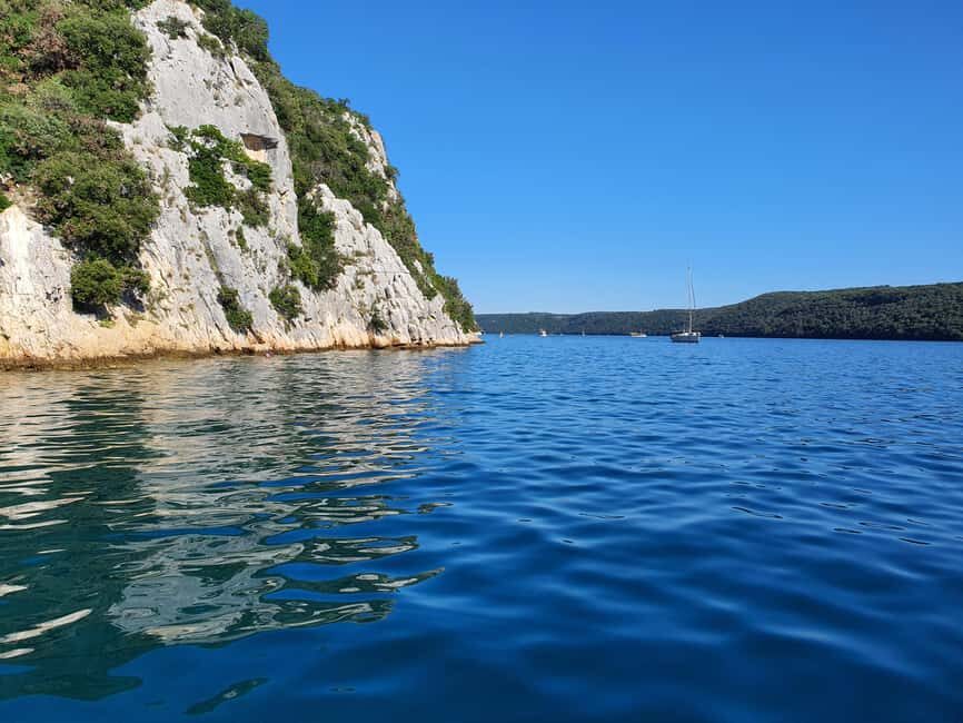 Dolphin safari every morning&evening - Your ride: Beštija – The Beast and why a 9-meter RIB matters