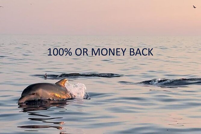 Dolphin Sunrise Adventure with Speedboat - Key Highlights Worth Getting Up For