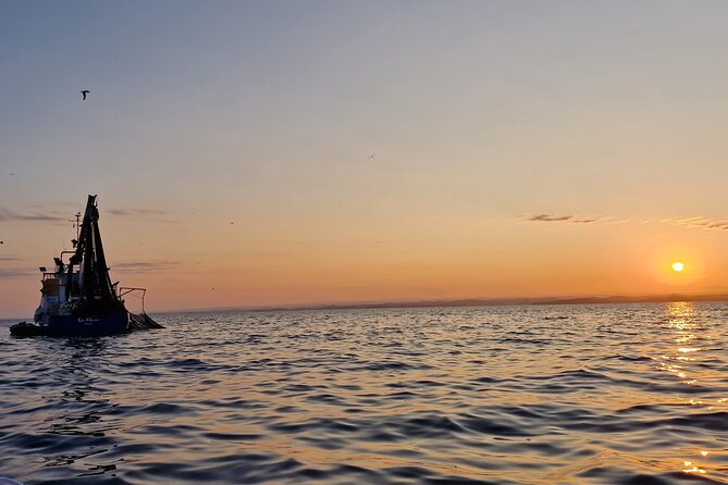 Dolphin Sunrise Adventure with Speedboat - From Early Fisherman Boats to Dolphin Action: What to Expect On the Water
