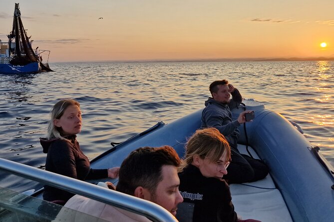 Dolphin Sunrise Adventure with Speedboat - How Long Is 1–2 Hours Really? Timing That Helps You Enjoy It