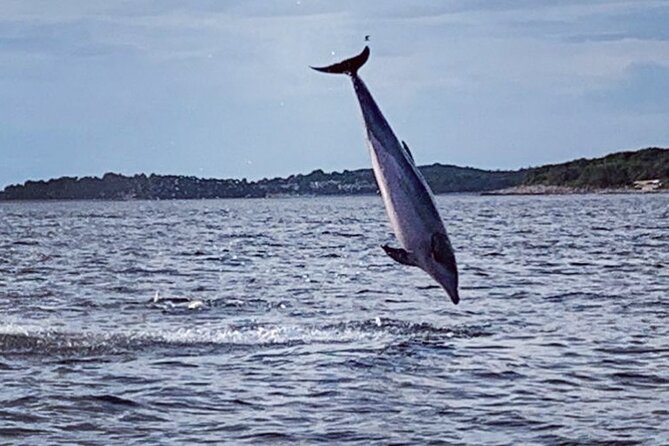 Dolphin Sunrise Adventure with Speedboat - Small Group Size (Max 10): Why It’s Not Just a Detail