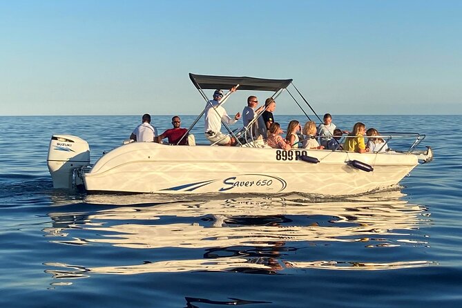 Dolphin Sunrise Adventure with Speedboat - Price and Value: Is $42.17 a Good Deal for a Sunrise Speedboat?
