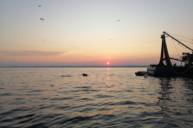 Dolphin Sunrise Adventure with Speedboat - The 6:00 AM–7:30 AM Window: When Sunrise and Dolphin Spotting Overlap