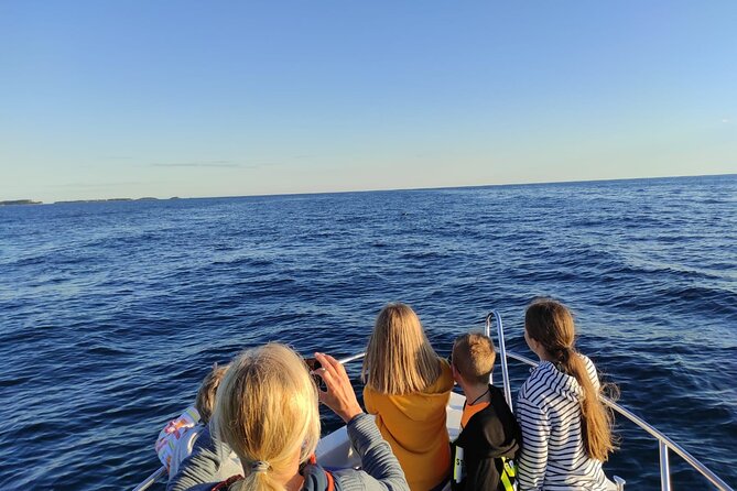 Dolphin Sunset Adventure with Speedboat - Price and value: what $30.25 buys in Rovinj-area dolphin time