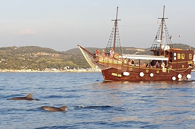 Dolphin Watching Boat Trip around Vrsar - When Dolphins Are Far Away: Still Make It Worth the Sail