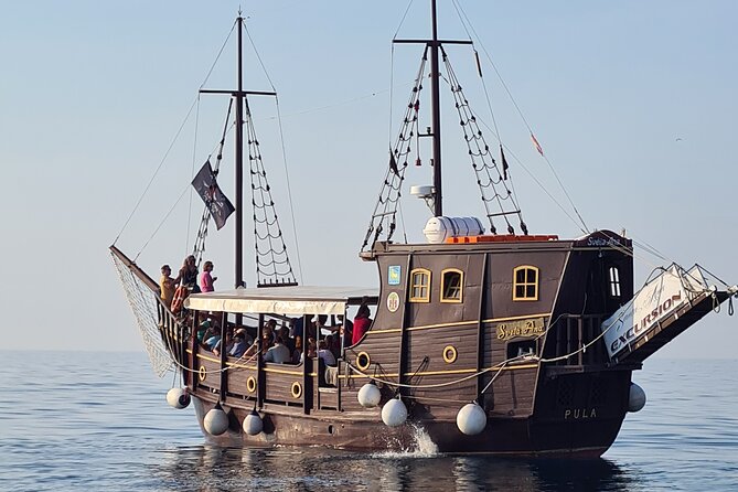 Dolphin Watching Boat Trip around Vrsar - The Real Game Plan: Captain-Led Dolphin Searching