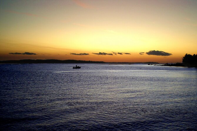 DOLPHIN WATCHING | Pula Boat - Sunset and camera strategy (without the stress)