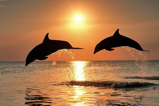 Dolphin Watching & Sunset Boat Tour With Dinner and Drinks - The Pula Bay Stretch: Forts, Naval History, and a Great Start Line