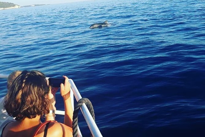 Dolphin Watching & Sunset Boat Tour With Dinner and Drinks - Dolphin Spotting: What You Can Expect When Wildlife Shows Up