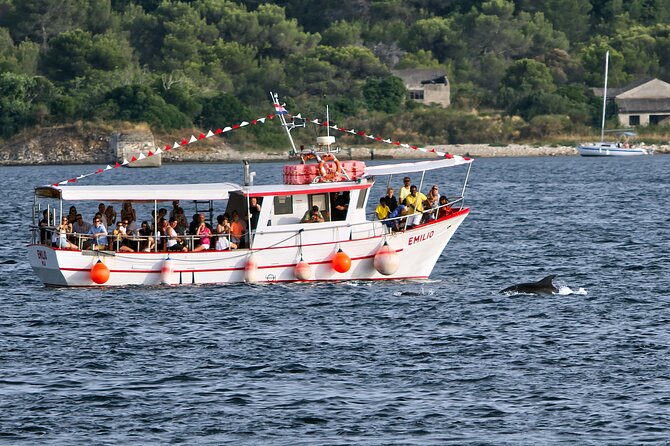 Dolphin Watching Sunset Boat Trip in Pula with Dinner - Setting sail from Pula with Brijuni as your backdrop