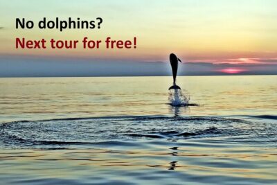 Dolphin Watching Sunset Speedboat Tour with Drinks in Rovinj - Drinks and a Skipper Who Sets the Tone