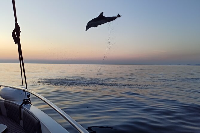 Dolphin Watching Sunset Speedboat Tour with Drinks in Rovinj - Who Should Book This Rovinj Dolphin Sunset Tour