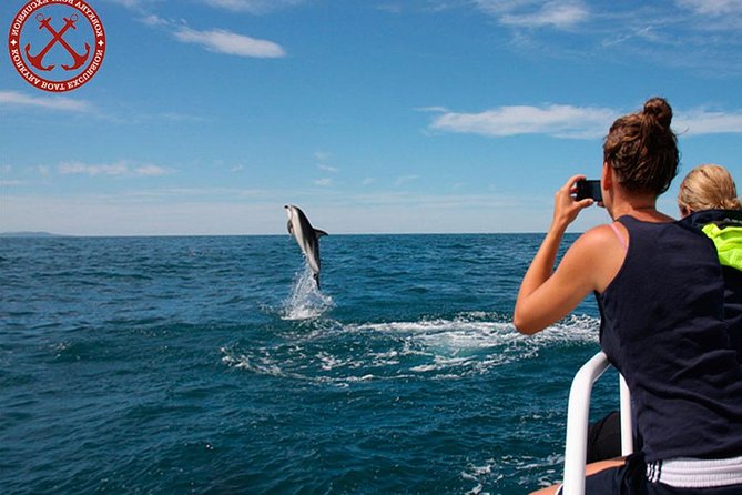 Dolphins Watching in the National Park Brijuni from Pula - Brijuni National Park Waters: How the Dolphin Watching Plays Out