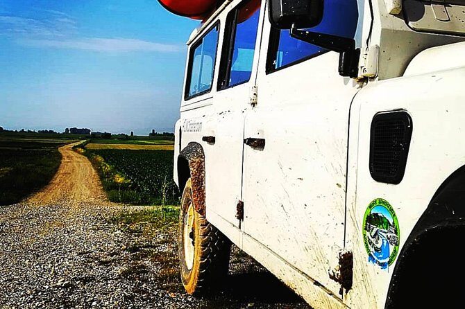 Drava Jeep Safari - Stop 1 in Plain English: The Drava Forest Experience