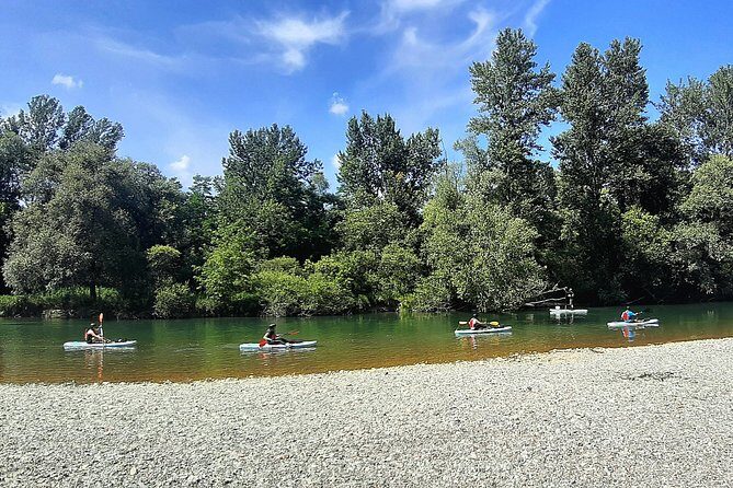 Drava Sup Exploring Adventure - Stop 1 in the Drava forest: what your paddle segment is really like