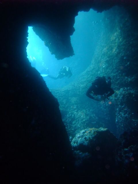 Dubrovnik: 1-Day Diving Package - Should You Book This Dubrovnik 1-Day Scuba Package?