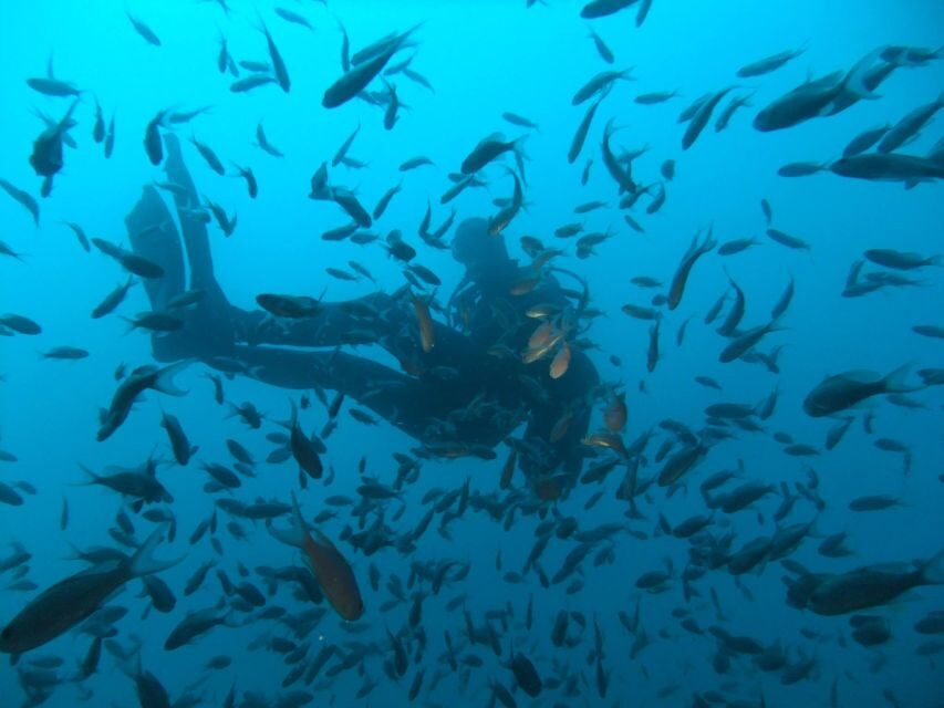 Dubrovnik: 1-Day Diving Package - Dubrovnik’s Southern Adriatic: Why This Area Fits a One-Day Plan