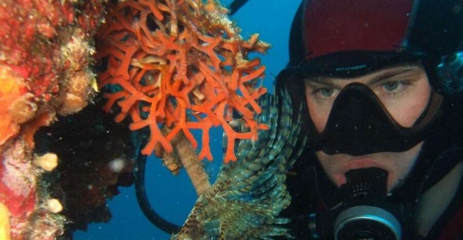 Dubrovnik: 1-Day Diving Package - Shore Sessions: Little Africa, Maros Cave, and Pipa Rock Options