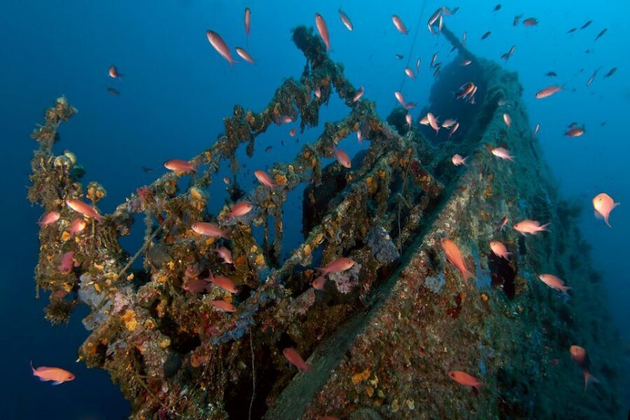 Dubrovnik: 1-Day Diving Package - The Schedule That Keeps Energy High: Check-In to 2 Sessions